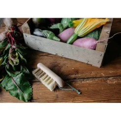 Andru00e9e jardin Entretien Rangement*Brosse à légumes Tradition