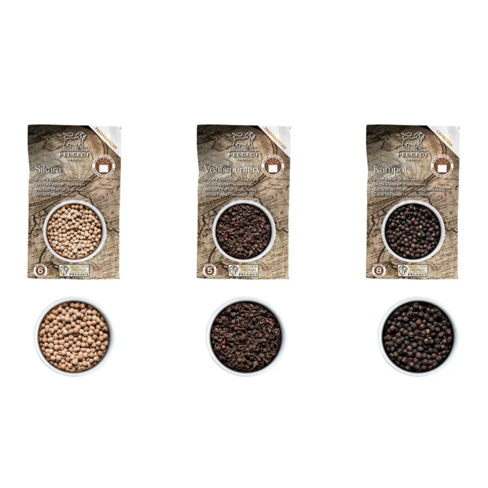 Peugeot Préparation*Coffret à poivre Maestro