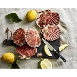 Chefs & Co Coutellerie*Couteau d'office 10 cm