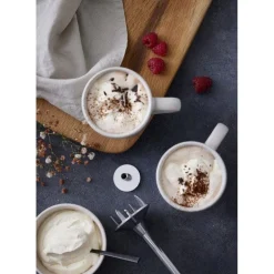 Bamix Electroménager*DISQUE FOUET