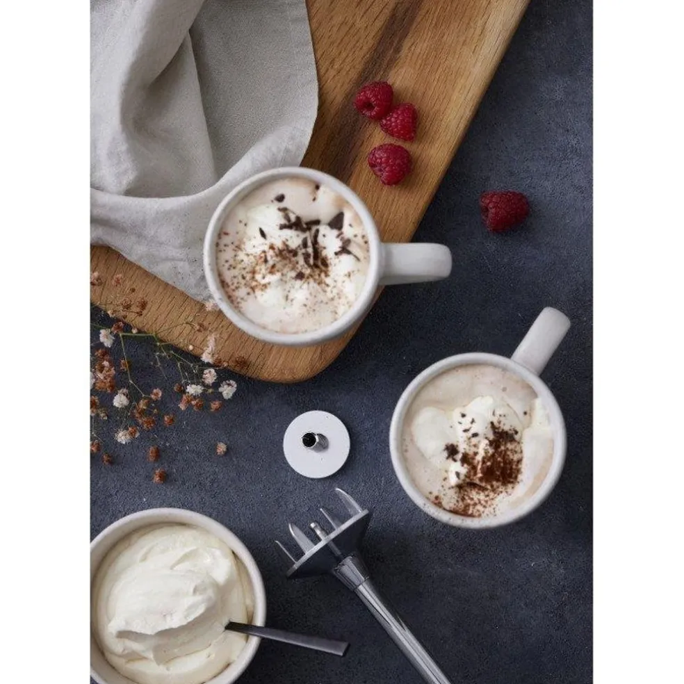 Bamix Electroménager*DISQUE FOUET